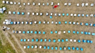 Ağrıda kadınlar bal üretimine yöneliyor