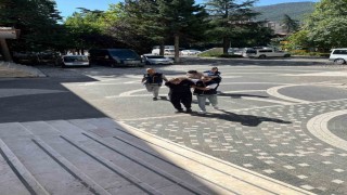 Akşehirde uyuşturucu operasyonu: 1 tutuklama