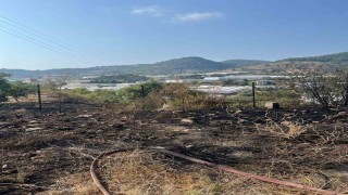 Alanyada otluk alanda çıkan yangın büyümeden söndürüldü