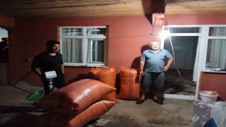 Alaplıda hasat edilen fındıklar satışa çıktı