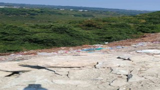 Alaplıda yol kenarına bırakılan çöpler çevre kirliliğine yol açıyor
