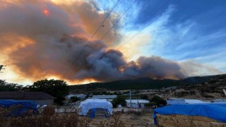 Alevler çiftlikleri tehdit etti, hayvanlar kurtarıldı