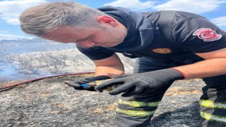 Alevlerin ortasında bir damla hayat