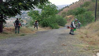 Ali Dağında yangına karşı üst düzey önlem
