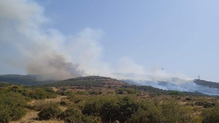 Aliağada makilik alanda yangın