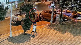 Alkollü sürücü 4 araca çarparak durabildi: Köpeği can havliyle camdan fırladı