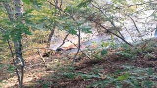 Amanoslarda Yangın Paniği