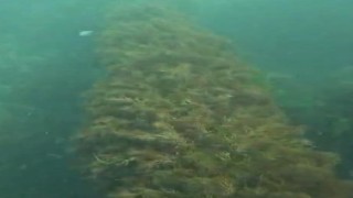 Amasra Belediyesine 668 bin TL para cezası kesildi