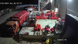 Amasya soğanı Avrupaya satılıyor