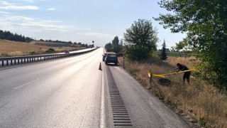 Amasyada çarptığı yaşlı adamın ölümüne yol açan tır sürücüsü Trabzonda yakalandı