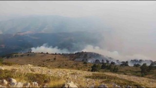 Amasyada orman yangını: 35 hektar alan zarar gördü