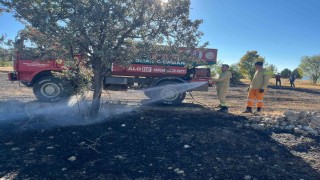 Anız yangını ormana sıçramadan söndürüldü