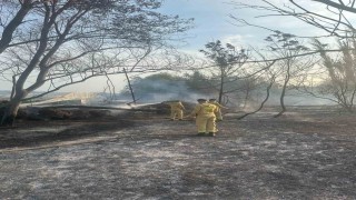 Anız yangınına itfaiye ekipleri müdahale etti