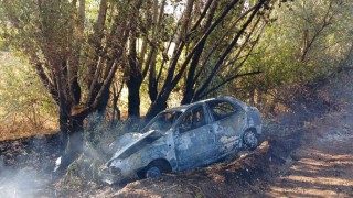 Ankarada ağaca çarpan otomobil alev aldı: Sürücünün burnu bile kanamadı