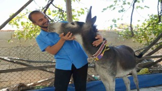 Annesi ölen eşeğe gözü gibi bakıyor