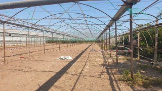 Antalyada serada cinayet: 2 ölü