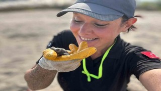 Antalyada yavru caretta carettaların denizle buluşması için nöbet tutuluyor