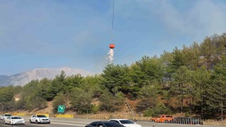 Aracın neden olduğu orman yangını kontrol altına alındı