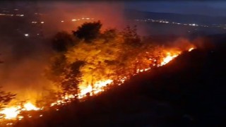 Ardahanda anız ve fidanlık yangını geceyi aydınlattı