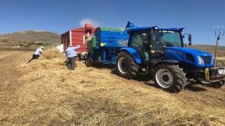 Ardahanda güneş altında patoz mesaisi