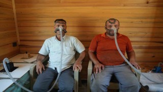 Arı kovanı havası soluyarak şifa arıyorlar