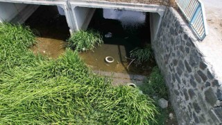 Arnavutköyde dere yatağındaki kirlilik endişelendiriyor