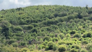 Arnavutköyde kaybolan 90 yaşındaki Yusuf Bayraktar ormanlık alanda ölü bulundu