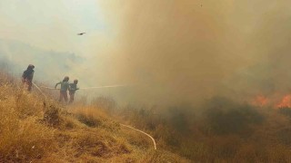 Arnavutlukta orman yangını: 1 ölü, 8 yaralı