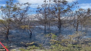Arsuzda çıkan orman yangını kontrol altına alındı