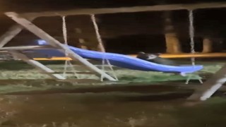 Artvinde yavru ayıların kaydırak merakı