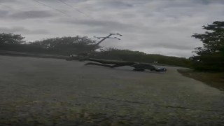 Asfalttaki yarık yüzünden ölümden döndü