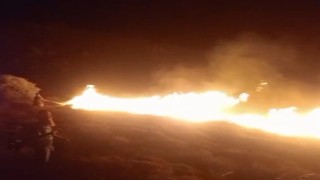 Avşa Adasında çıkan arazi yangını kontrol altına alındı