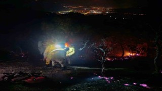 Aydın - Denizli sınırında çıkan orman yangını kontrol altına alındı