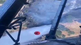 Aydın zirai alan yangını kontrol altına alındı