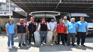 Aydında 153 bin sazan yavrusu doğayla buluştu