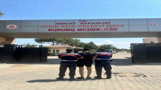 Aydında jandarmadan aranan şahıslara darbe: 25 kişi yakalandı