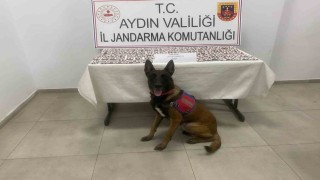 Aydında jandarmadan uyuşturucu operasyonu: 3 gözaltı