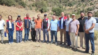 Aydında mera ıslah projeleri sürüyor