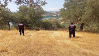 Aydında ormanlar jandarma gözetiminde