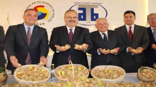 Aydında sezonun ilk kuru inciri 800 liradan satıldı