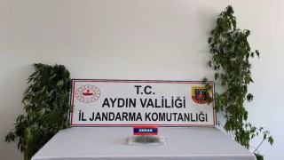 Aydında uyuşturucu operasyonu: 13 şüpheli yakalandı
