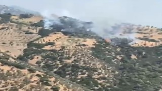 Aydında zirai alandaki yangını söndürme çalışmaları devam ediyor