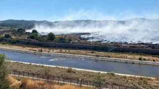 Ayvacık ilçesinde çöplükte başlayarak ormanlık alana sıçrayan yangın büyük ölçüde kontrol altına alındı