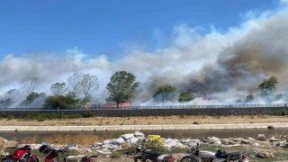 Ayvacıkta çöplük alanda çıkan yangın ormana sıçradı