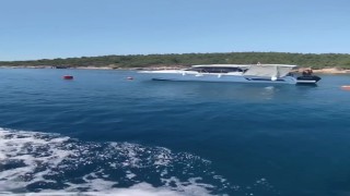 Ayvalık Adalarında deniz çayırları korunuyor