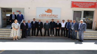 Azerbaycan heyeti Çamelinin Sakin Şehir süreci hakkında bilgi aldı