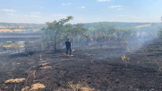 Babaeskide ağaçlık alanda çıkan yangın söndürüldü
