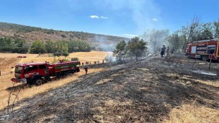 Bahçe yangını evlere sıçramadan söndürüldü
