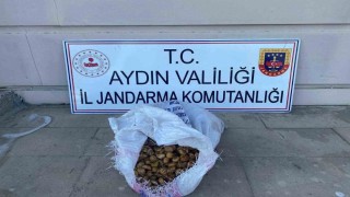 Bahçeden 50 kilo incir çalan şüpheliler jandarmadan kaçamadı