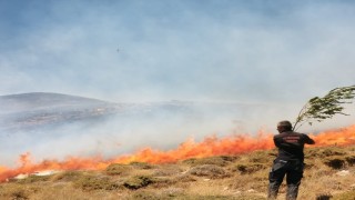 Bahçesarayda arazi yangını